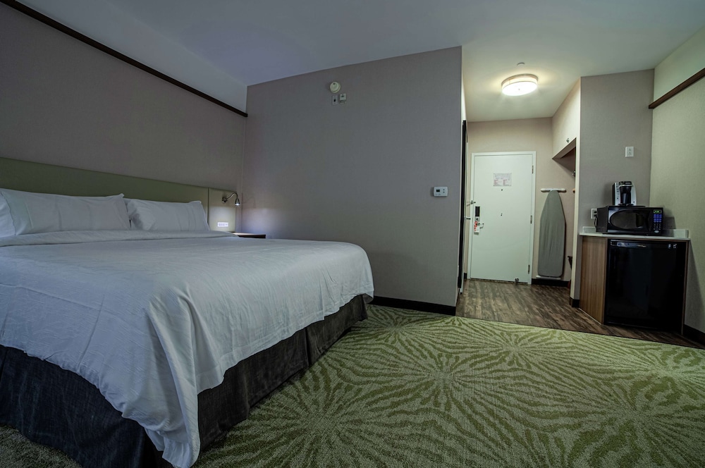 Deluxe Room, 1 King Bed, Accessible (Roll-In Shower) photo 3