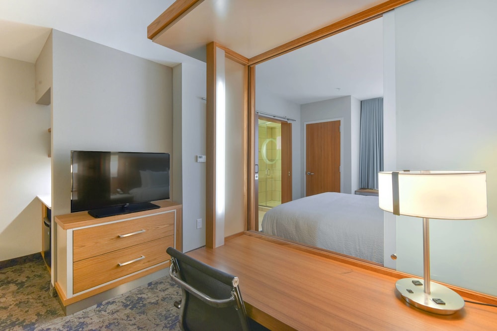 Suite, 1 King Bed with Sofa bed