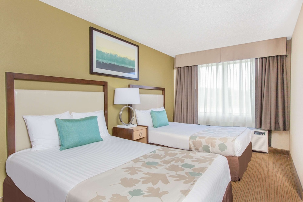 Double Room, 2 Double Beds photo 1