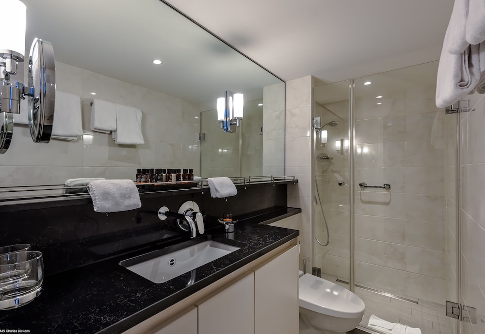 Business Suite, 1 Queen Bed, Balcony, River View photo 3