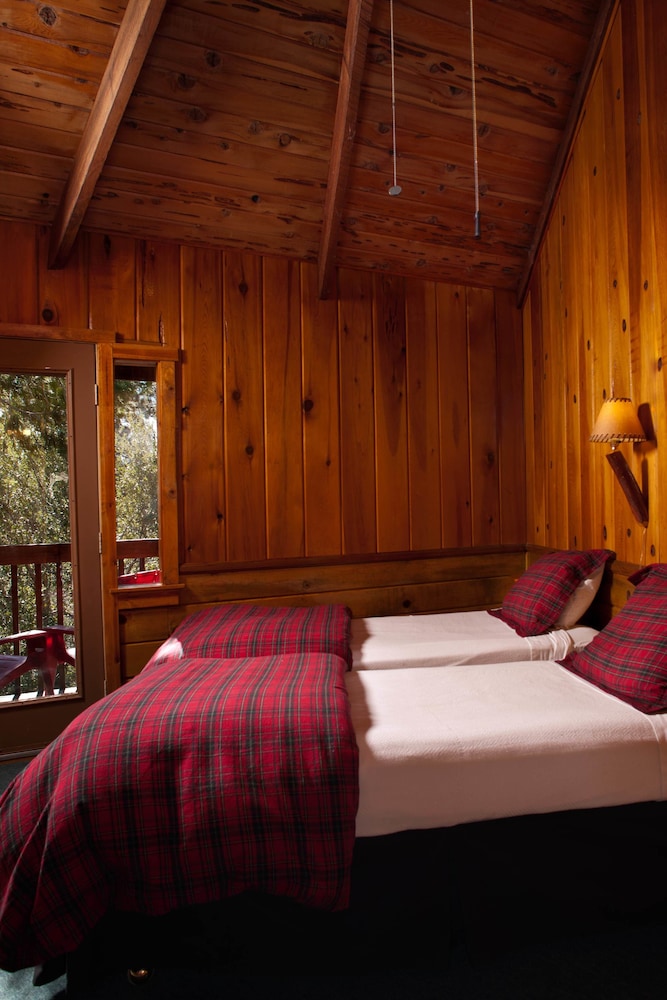 Standard Room, Multiple Beds, Non Smoking (Queen & Twin Room - Pet Friendly)