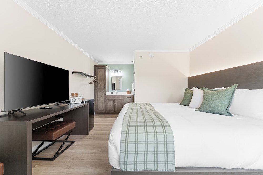Room, 1 King Bed, Pool View