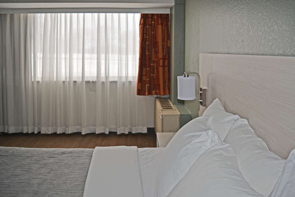 Standard Room, 1 King Bed, Non Smoking - Photo 7