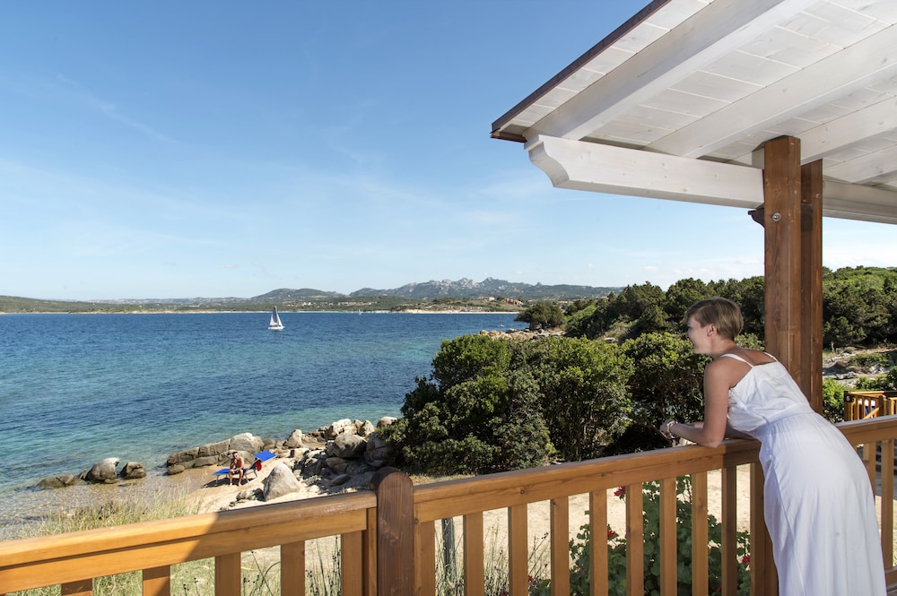 Suite (Paradise Bay)
