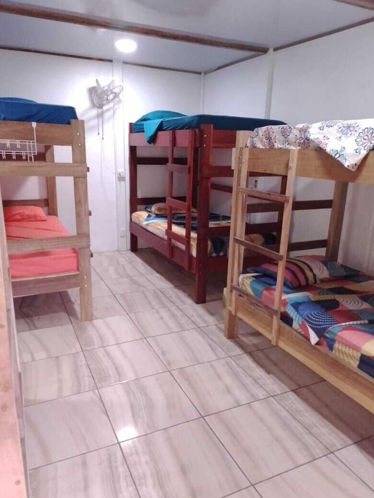 Basic Shared Dormitory photo 1