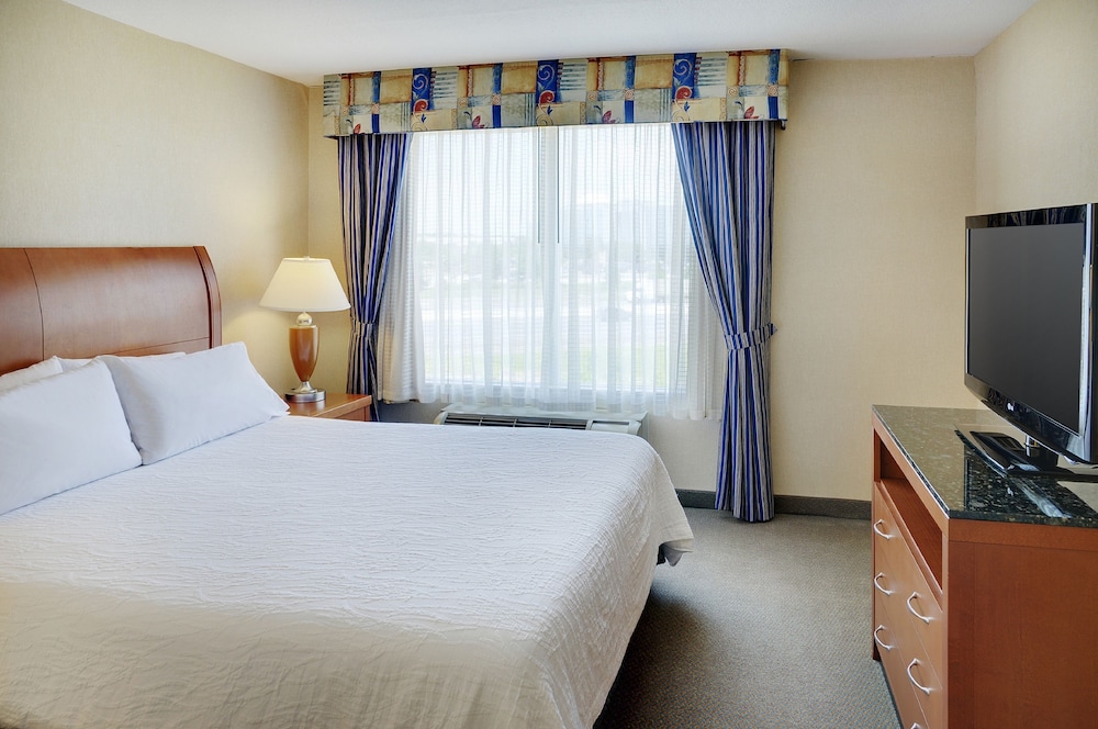 King Suite with sofabed - Photo 2