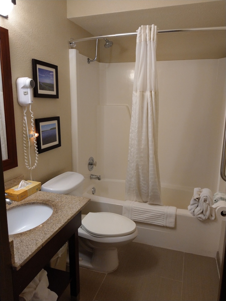 Standard Room, 1 King Bed with Sofa bed, Accessible, Non Smoking (Roll In Shower) - Photo 7