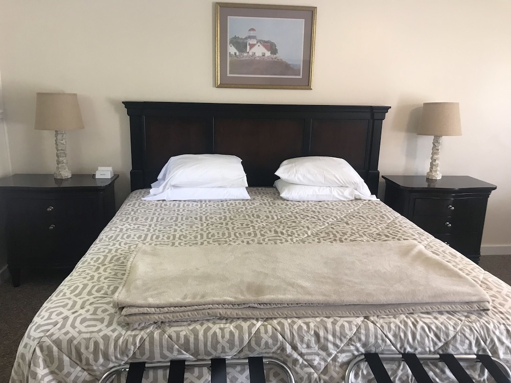 Room, 1 King Bed, Non Smoking, Refrigerator & Microwave photo 1