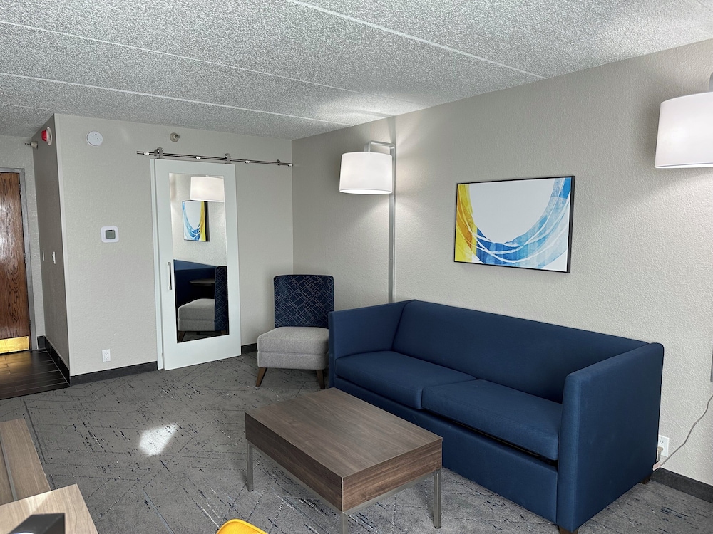 Suite, 1 King Bed, Accessible (Mobility) - Photo 1