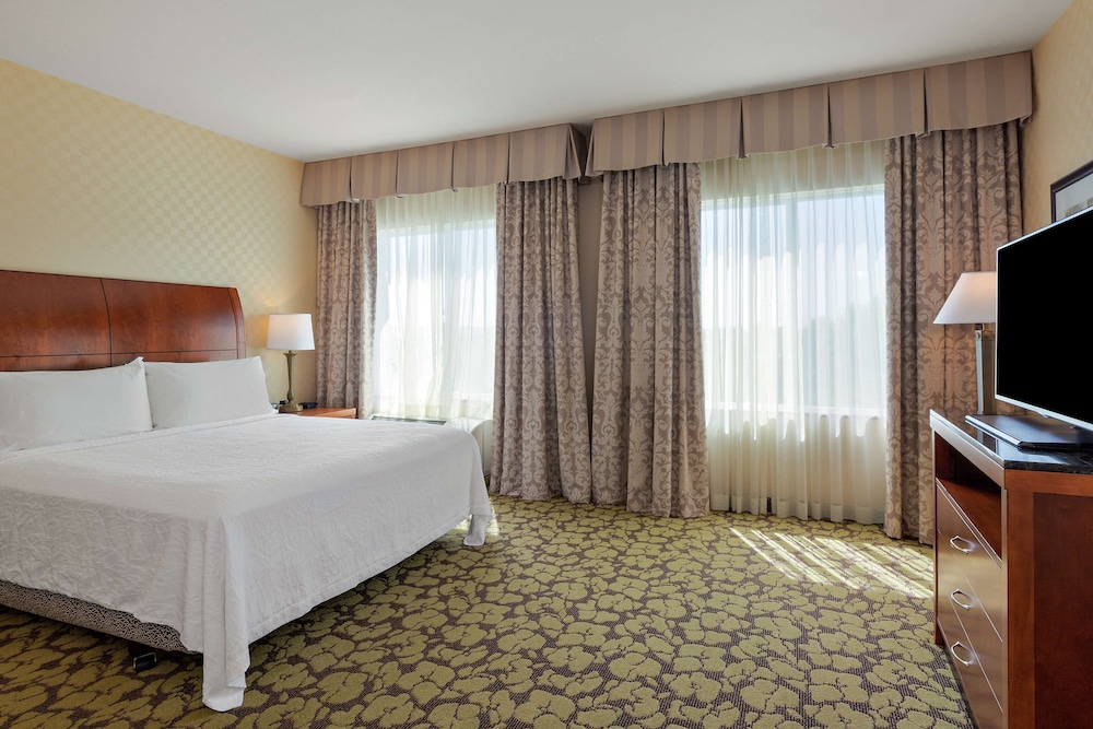 Suite, 1 King Bed - Photo 1