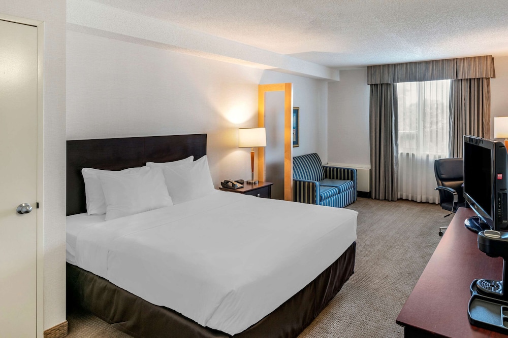 Suite, 1 Queen Bed with Sofabed, Non Smoking photo 1