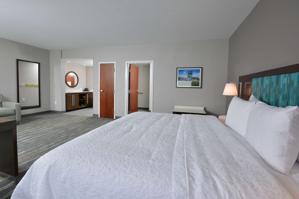 Suite, 1 King Bed, Accessible, Refrigerator & Microwave - Photo 4