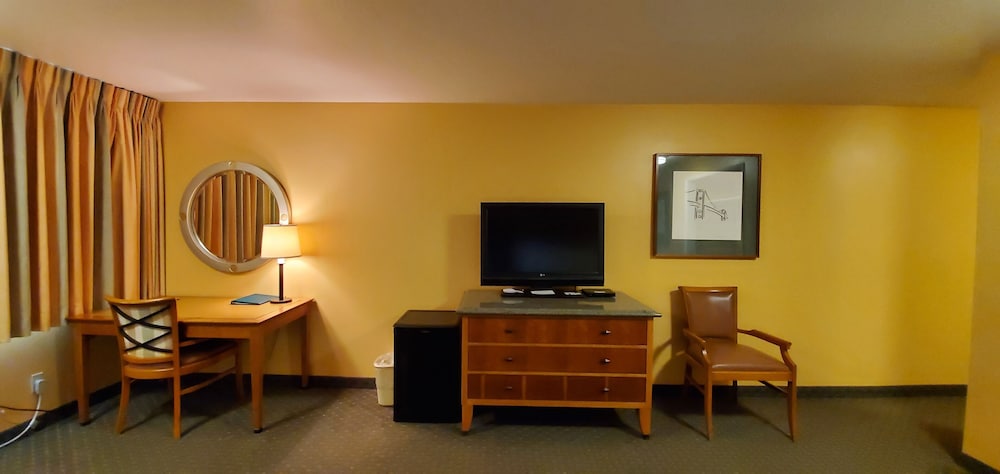 Jr Suite (No Pets) photo 3