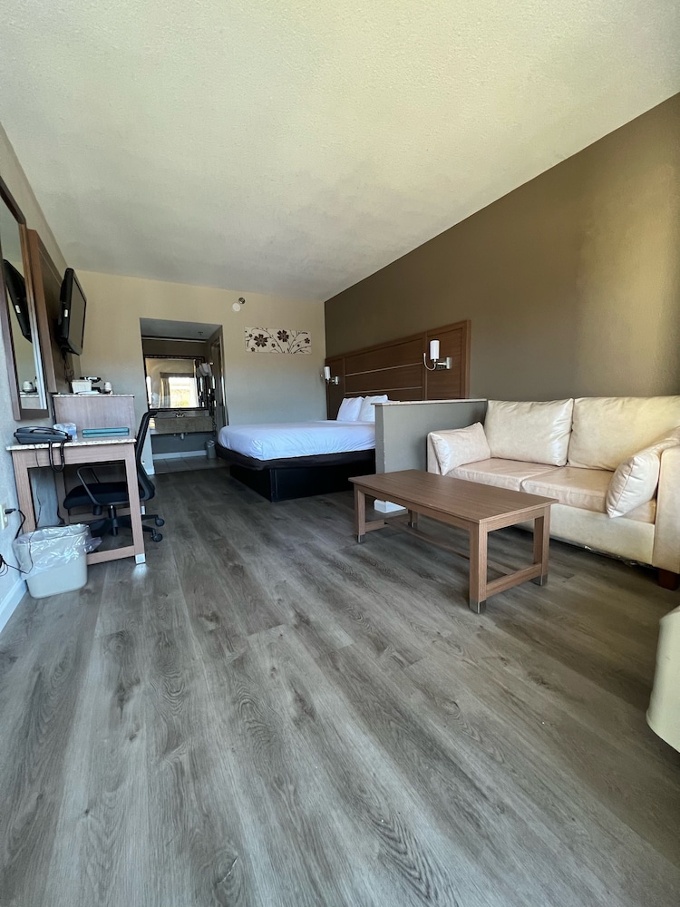 Suite, 1 King Bed with Sofa bed, Non Smoking photo 3