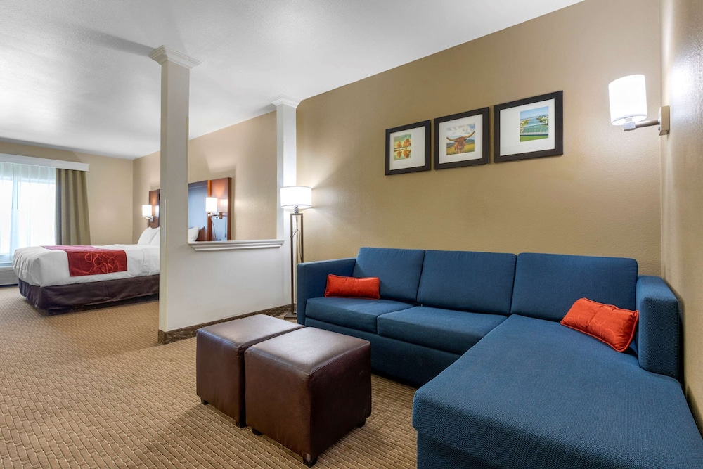Suite, 1 King Bed with Sofa bed, Accessible, Non Smoking - Photo 2