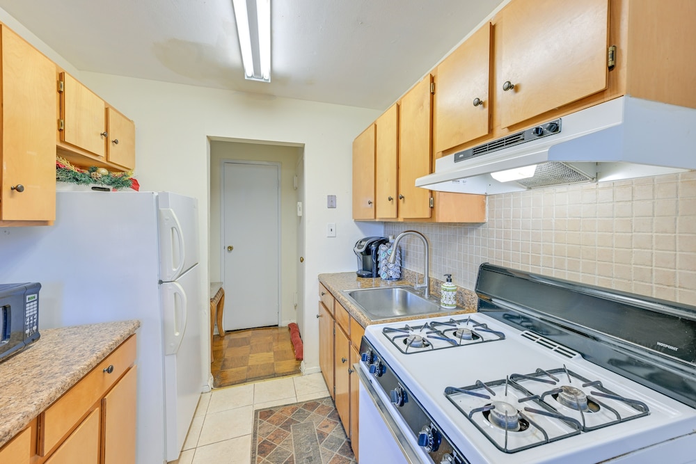 Apartment (1 Bedroom) photo 3