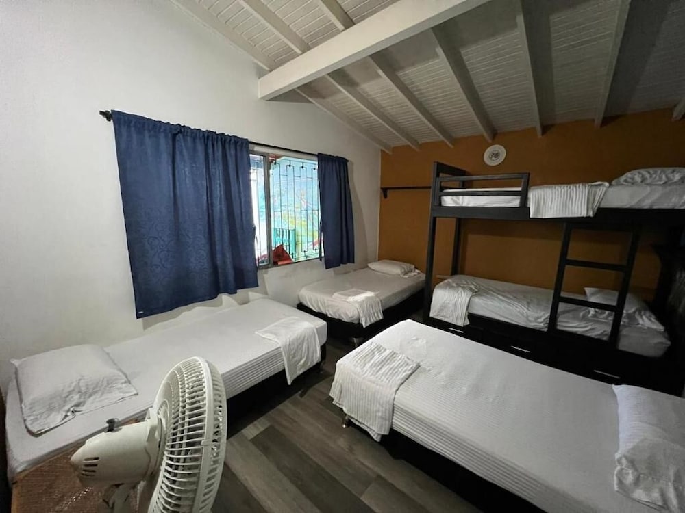 Standard Shared Dormitory