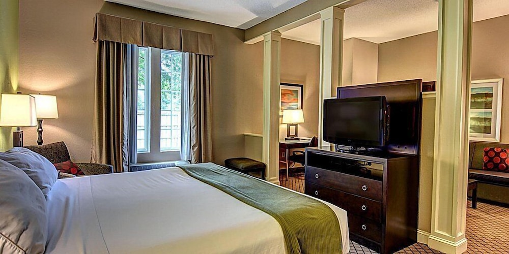 Deluxe Studio Suite photo 1