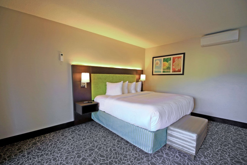 Standard Room, 1 King Bed, Non Smoking - Photo 7