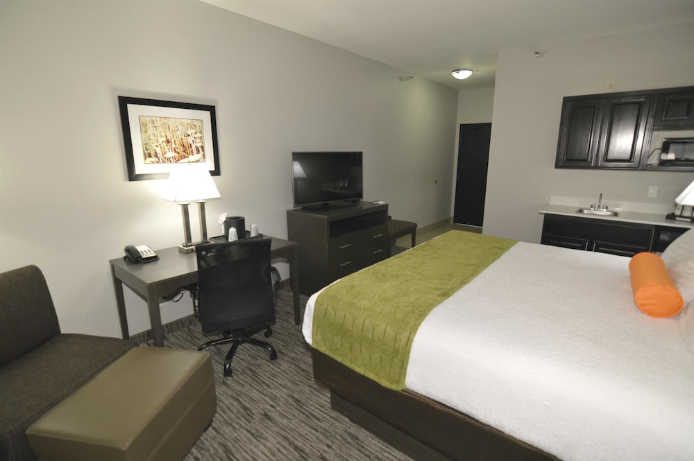 Standard Room, 1 King Bed, Non Smoking, Kitchenette photo 2