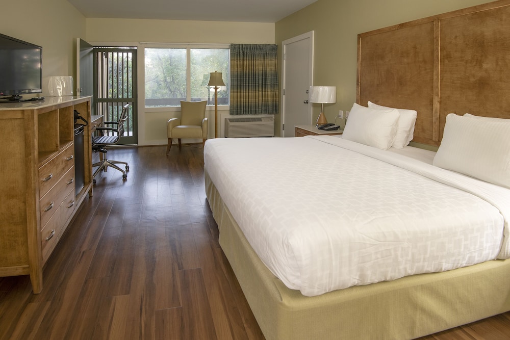 Room, 1 King Bed (Lodge)