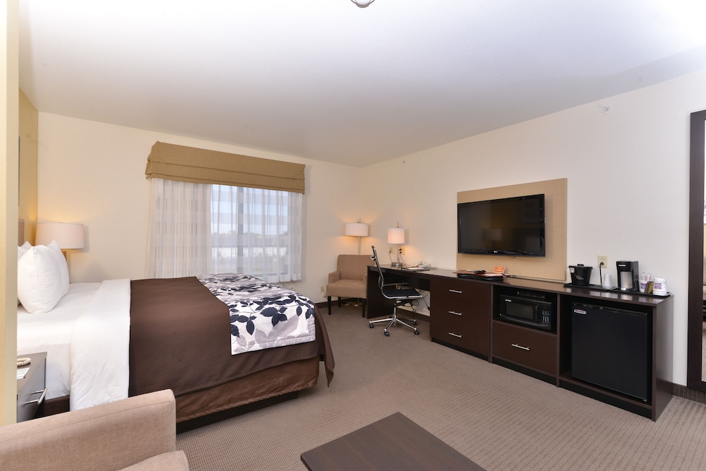 Suite, 1 King Bed with Sofa bed, Non Smoking - Photo 2