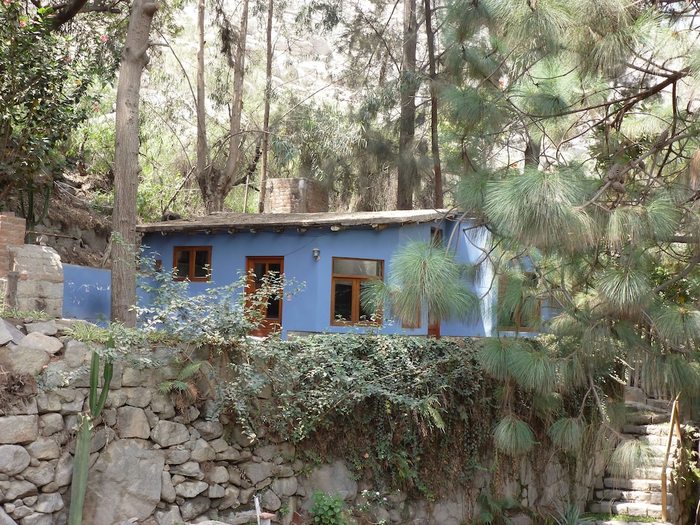 Family Bungalow photo 2