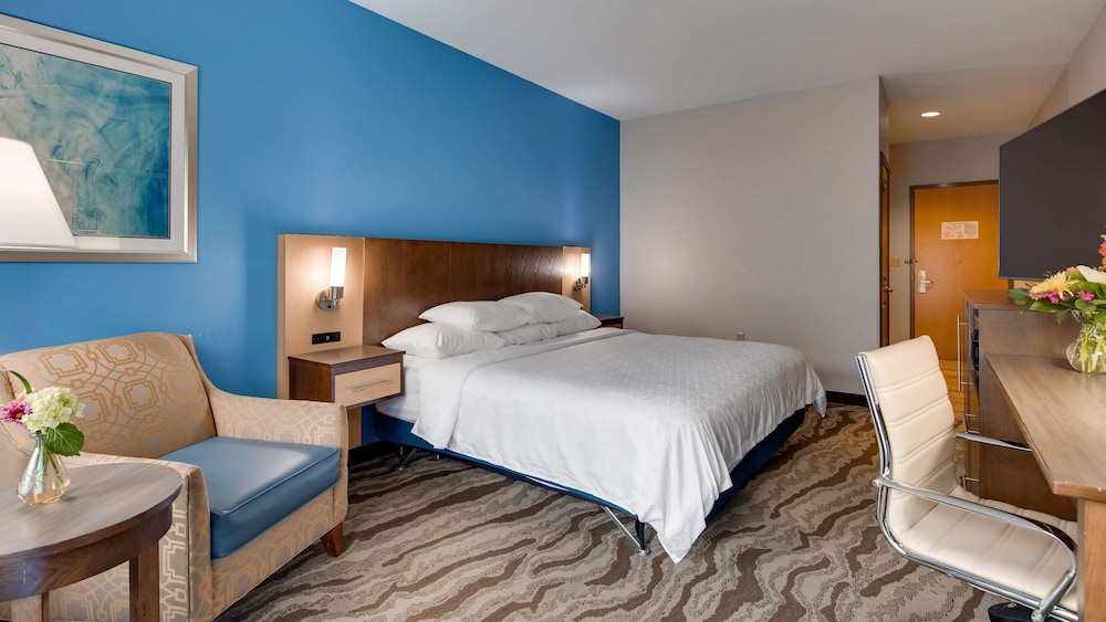 Standard Room, 1 King Bed, Accessible, Non Smoking photo 2