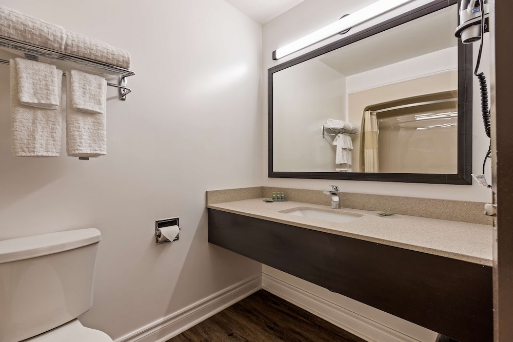 Standard Room, 1 King Bed, Non Smoking, Refrigerator & Microwave - Photo 10