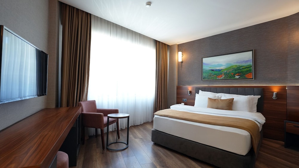 Superior Double Room, 1 Queen Bed, Accessible, Non Smoking photo 2