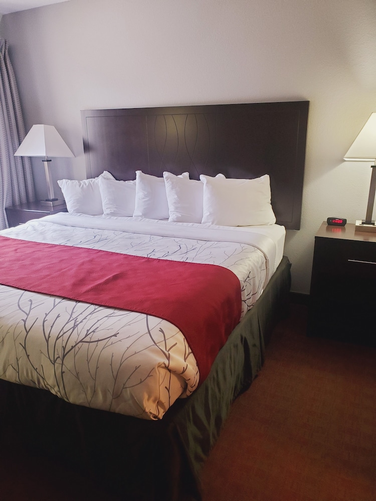 BlackStone Suite photo 2