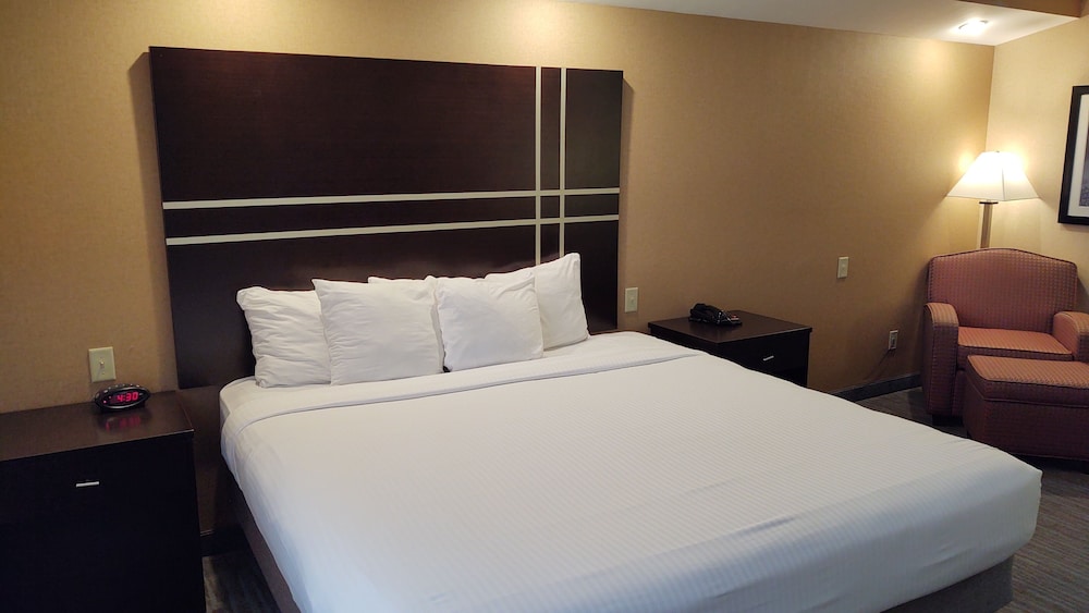 Suite, 1 King Bed with Sofa bed, Non Smoking, Refrigerator & Microwave (with Sofabed)