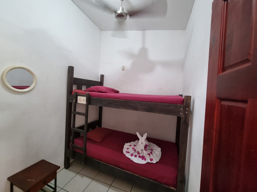 Basic Double Room photo 1