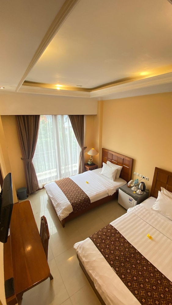 Deluxe Double or Twin Room photo 3