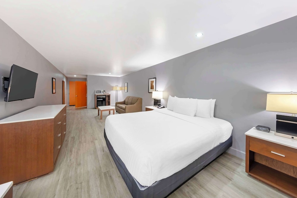 Basic Room, 1 King Bed, Non Smoking photo 1