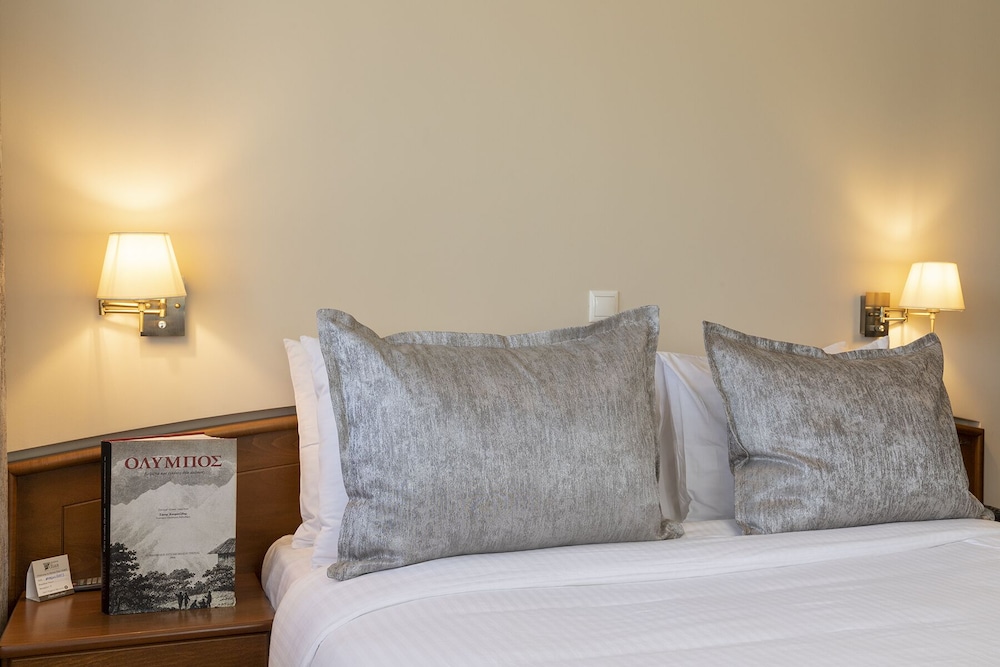 Panoramic Double Room (Olympus View) photo 3