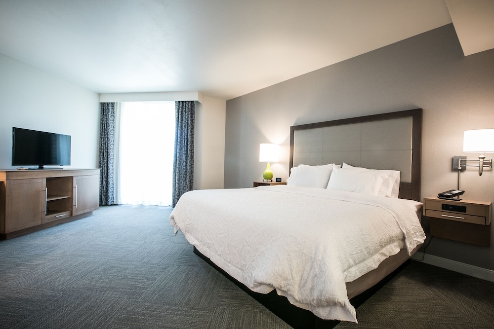 Room, 1 King Bed, Accessible, Non Smoking (mob/hearing acc w/ bathtub) - Photo 2