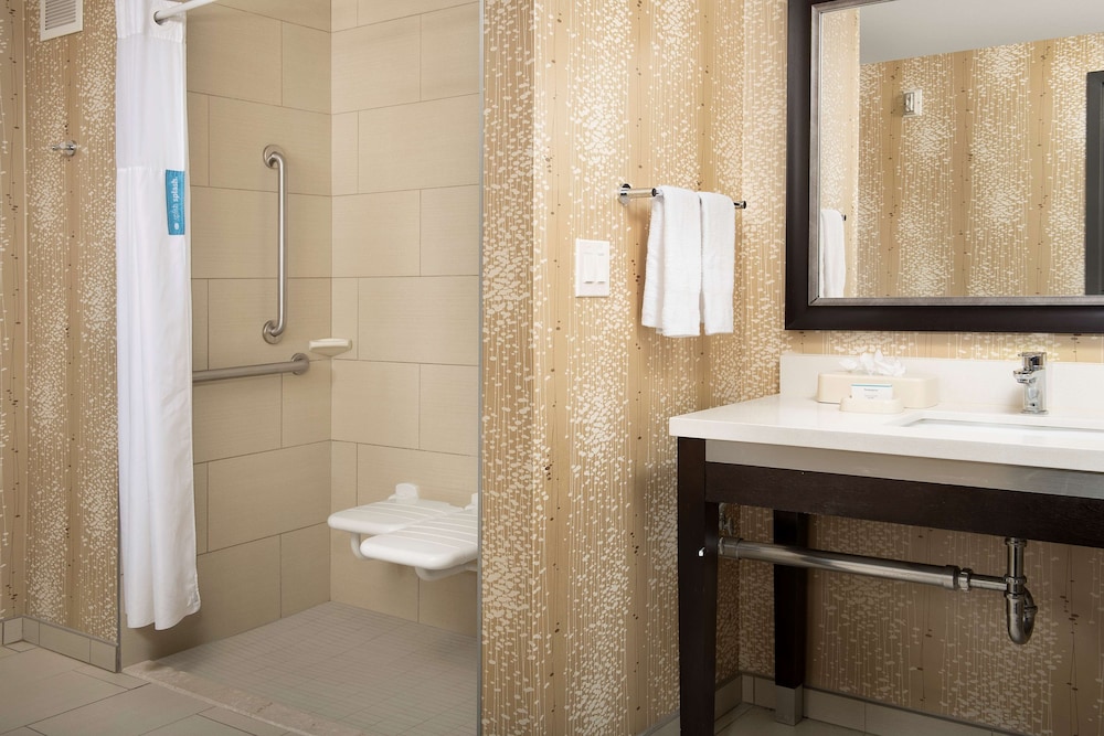 Suite, 1 King Bed, Non Smoking, Kitchen (Roll-in Shower) - Photo 1