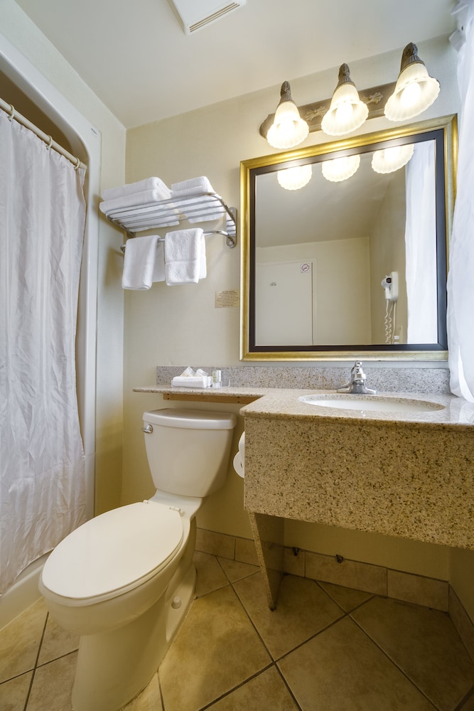 Spacious Room with 1 queen bed - Photo 4