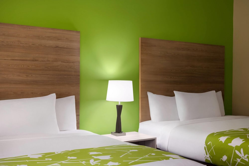 Room, Multiple Beds, Non Smoking photo 2
