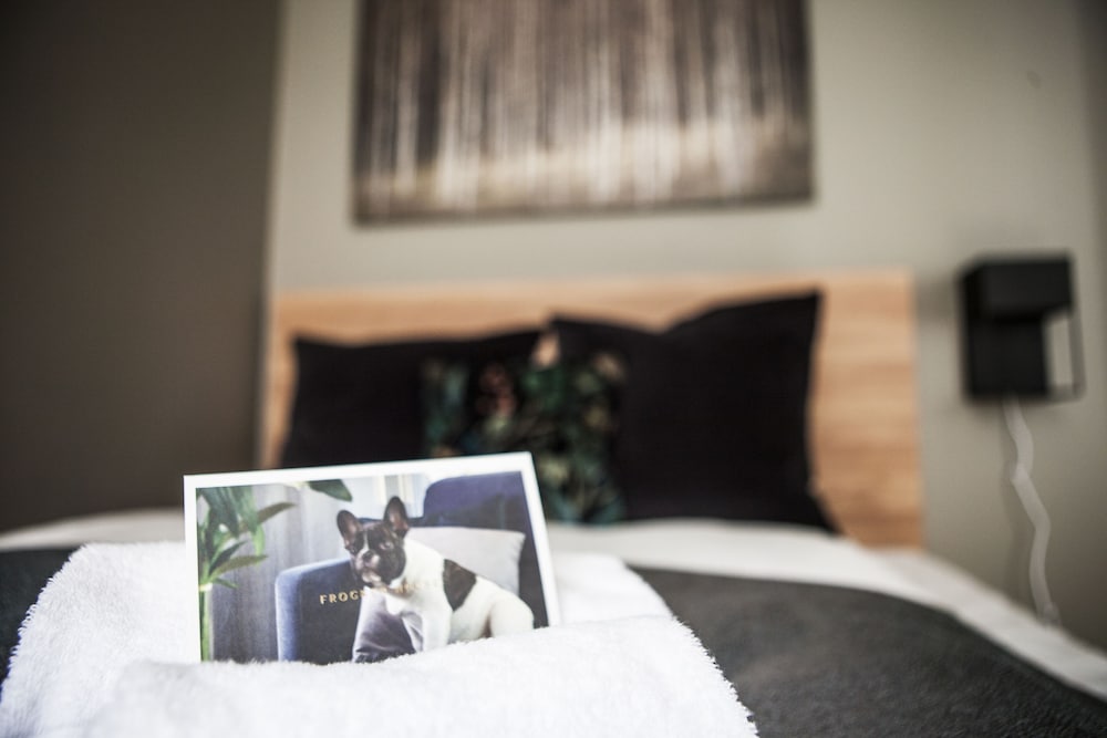 Double Room, 1 Queen Bed photo 1