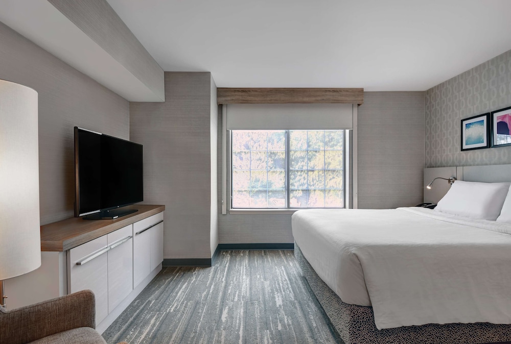 Suite, 1 King Bed (Evolution) photo 2