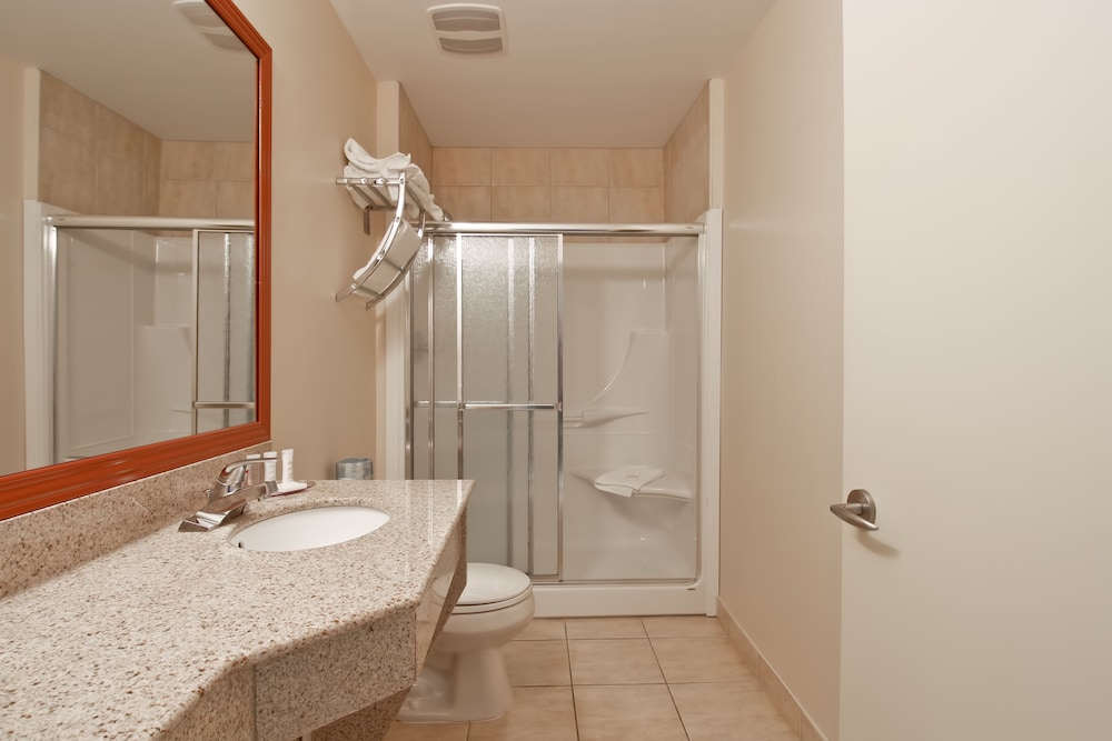 Suite, 1 King Bed, Jetted Tub - Photo 9