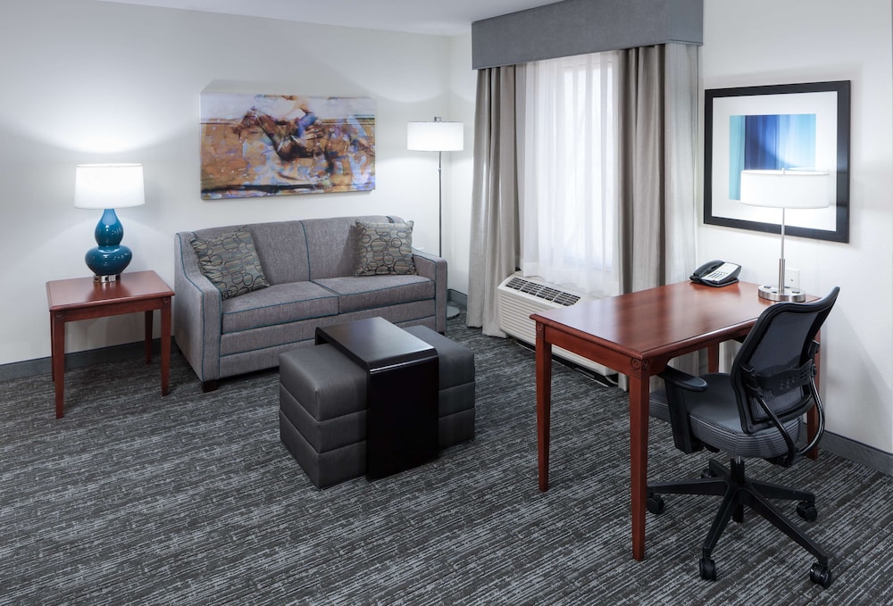 ADA Accessible, Studio, 1 King Bed, Accessible (Roll-in Shower) - Photo 2
