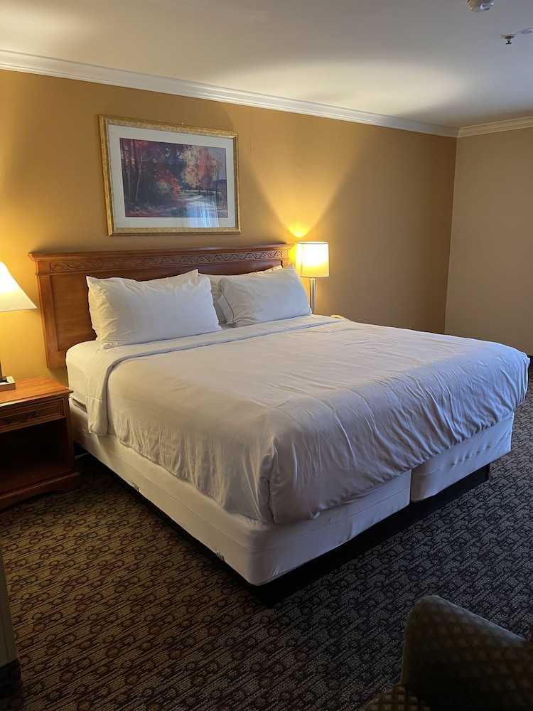 Standard Room, 1 King Bed, Non Smoking - Photo 1