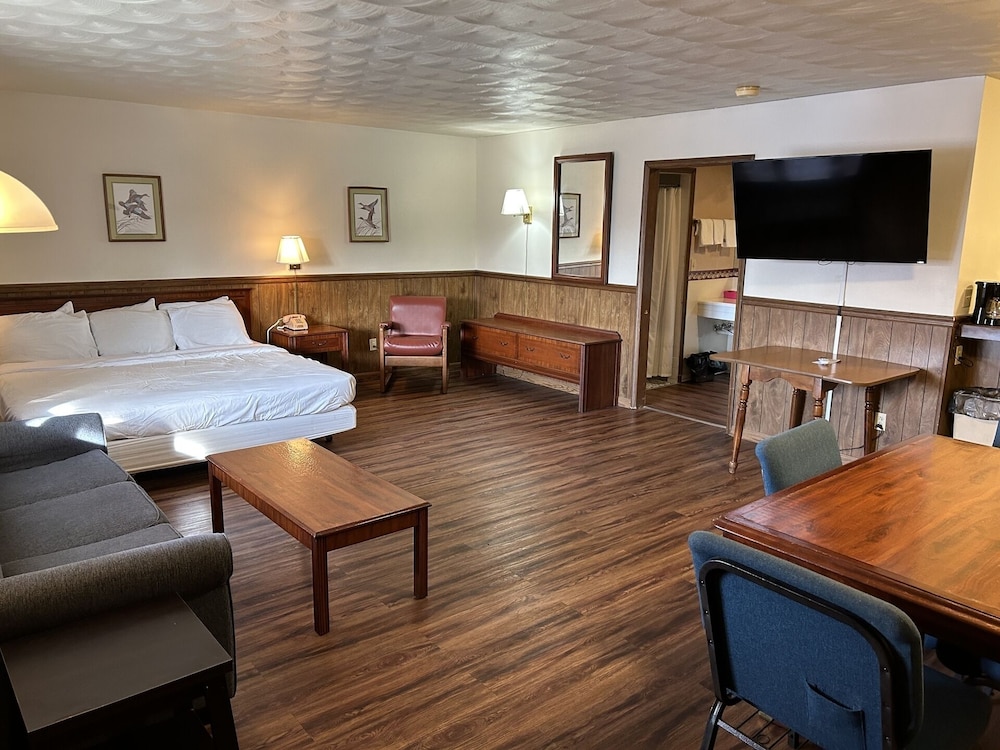 Premium Room, 1 King Bed with Sofa bed photo 1