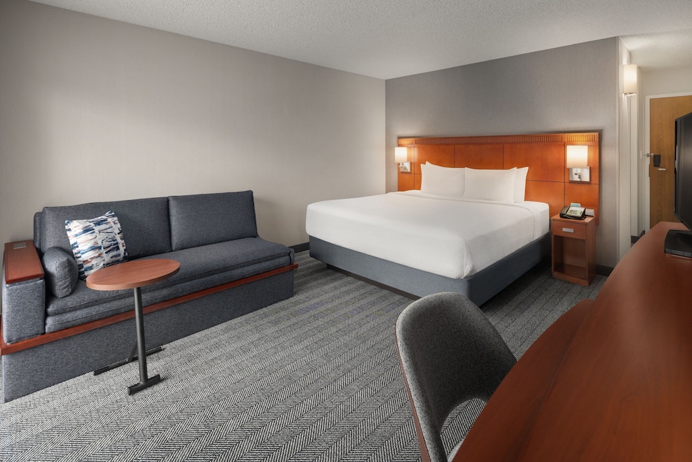 Room, 1 King Bed with Sofa bed (Hearing Accessible)