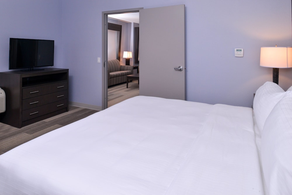 Suite, 1 King Bed (Additional Living Area) photo 2