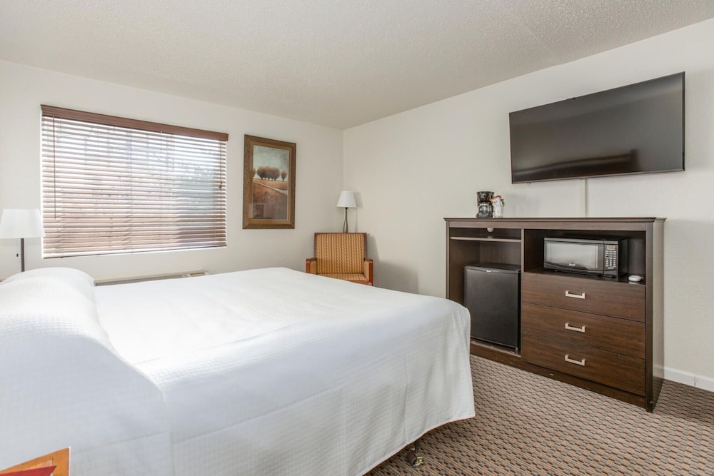 Standard Studio, 1 King Bed, Pool View photo 1