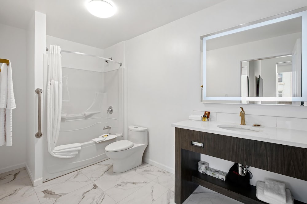 Suite, 1 King Bed, Accessible, Bathtub (Queen sofabed)